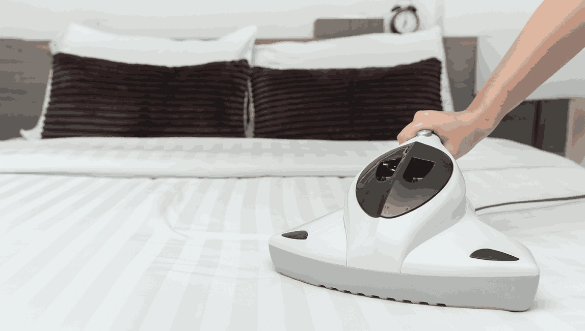 Professional Mattress Cleaning Pearcedale